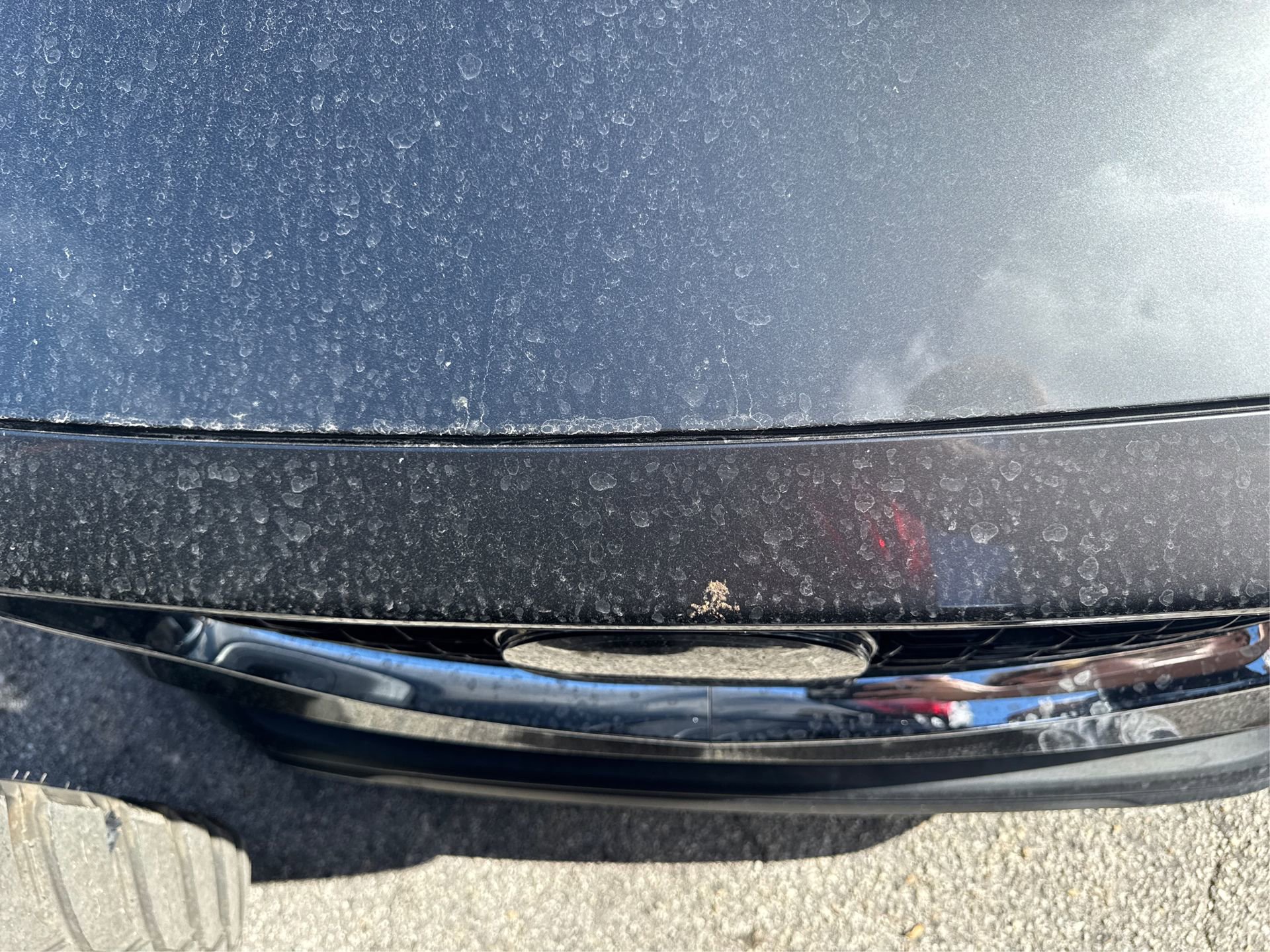 Used 2022 MAZDA CX-5 AWD 2.5 S w/ Premium Package image 13