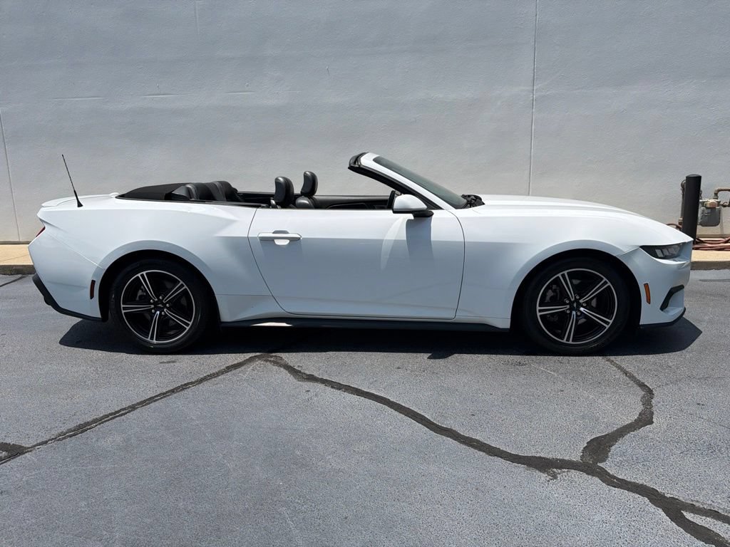 Used 2024 Ford Mustang Premium RWD image 9