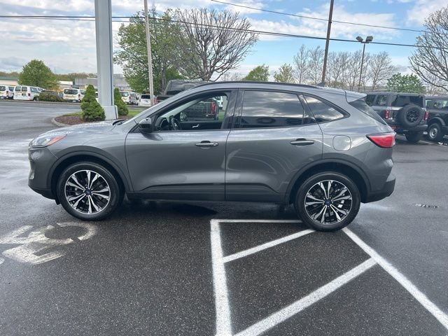 Used 2022 Ford Escape SEL w/ SEL Stealth AWD Package image 4