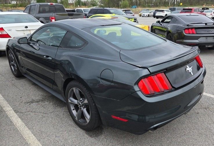 Used 2016 Ford Mustang Coupe w/ Equipment Group 051A RWD image 2