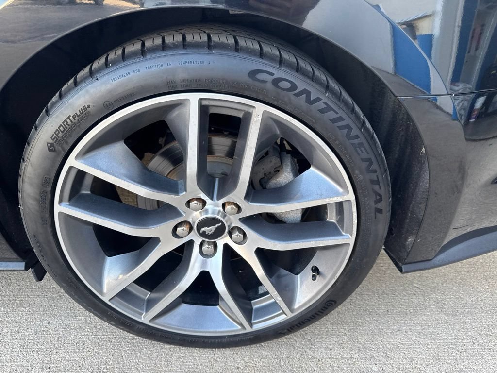 Used 2015 Ford Mustang Premium w/ Equipment Group 201A RWD image 44