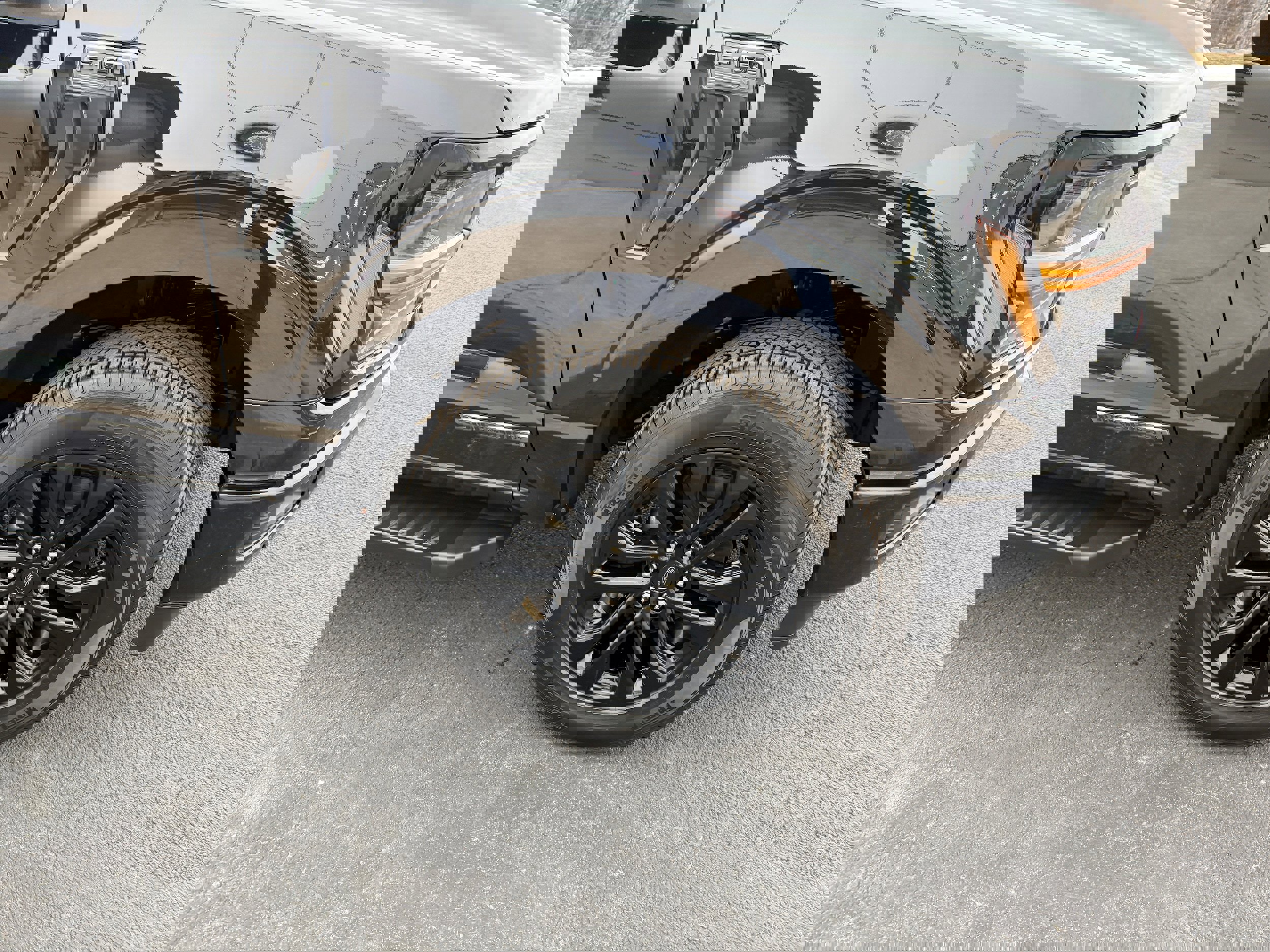 Certified 2025 Ford F150 XLT w/ Equipment Group 302A MID image 13