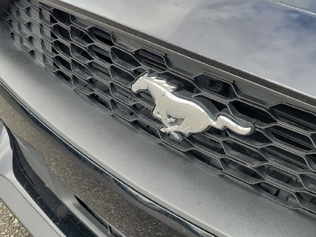 Used 2018 Ford Mustang Premium w/ Equipment Group 201A RWD image 28