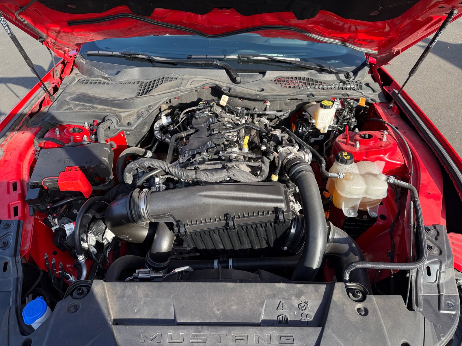 Used 2024 Ford Mustang Premium image 20