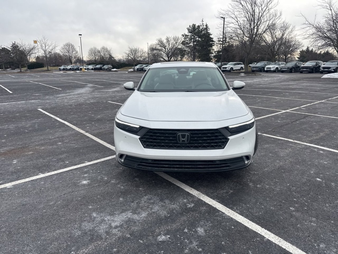 Used 2023 Honda Accord Touring image 4