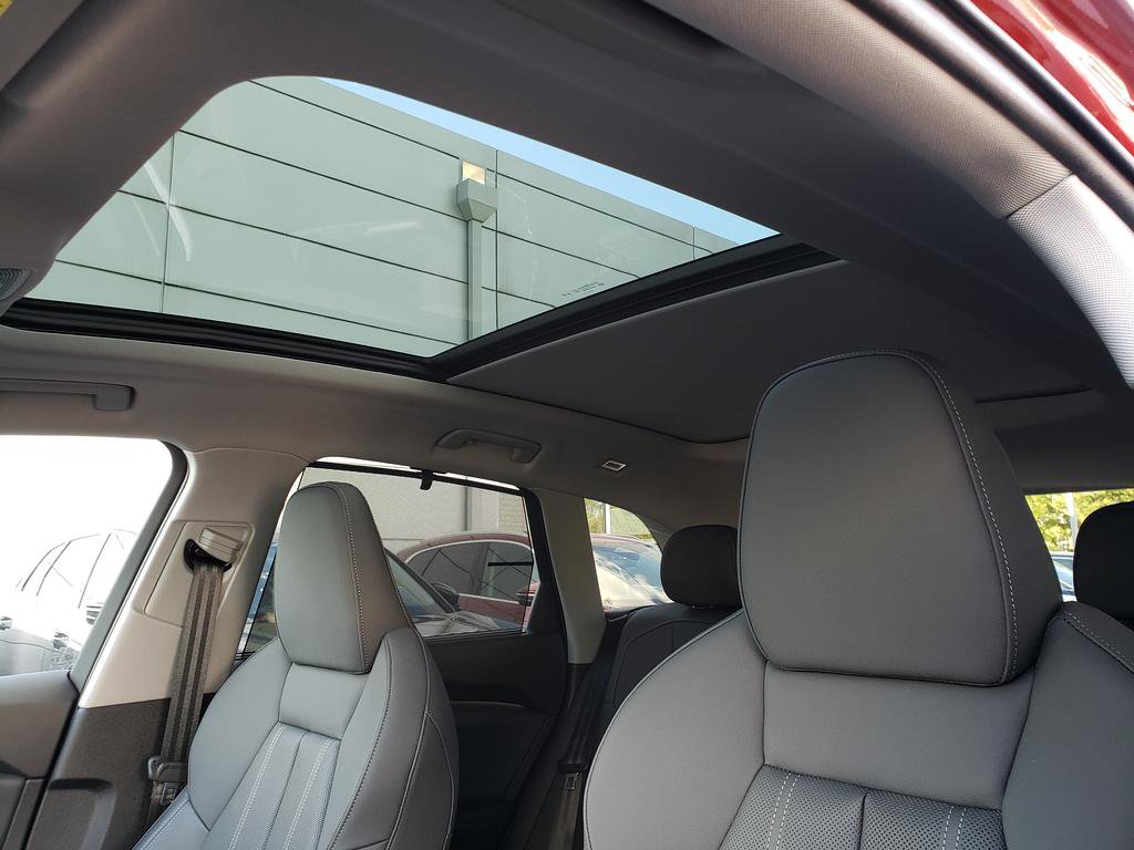 New 2025 Audi Q5 Premium Plus w/ Premium Plus image 7