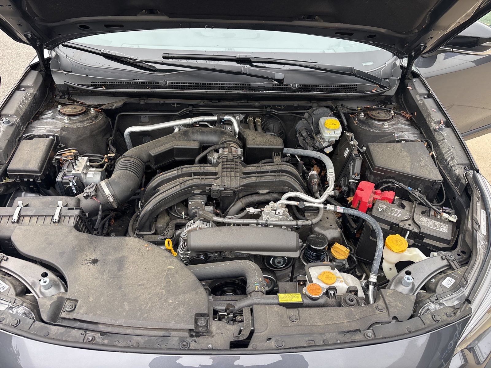 Used 2024 Subaru Outback Premium AWD/4WD image 49