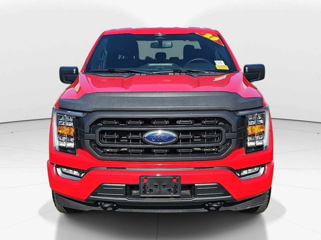 Used 2023 Ford F150 XLT w/ Equipment Group 302A High image 8