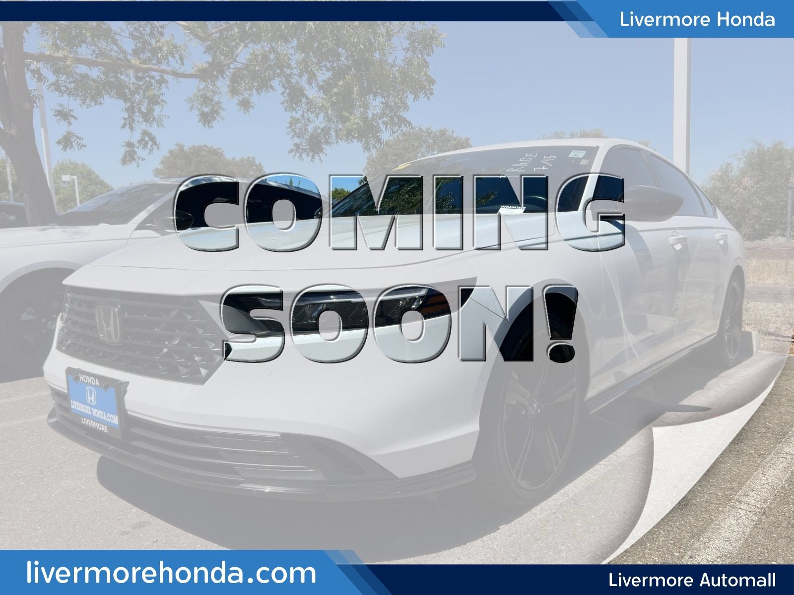 Used 2024 Honda Accord Sport