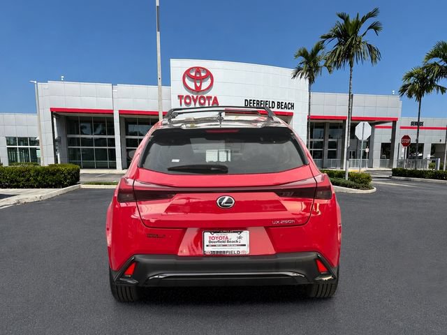 Used 2024 Lexus UX 250h F Sport FWD image 6