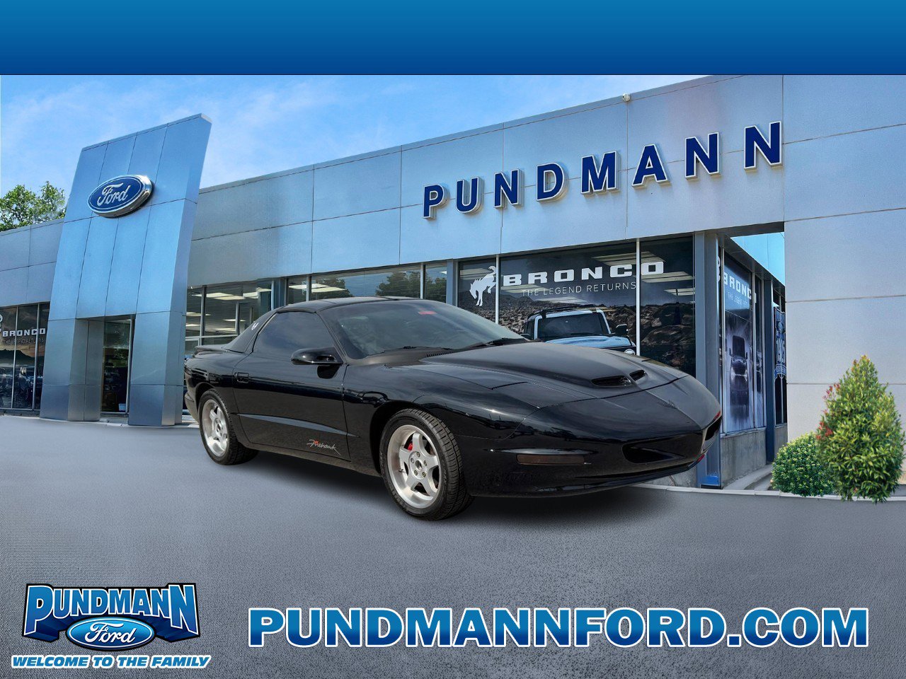 Used 1994 Pontiac Firebird Coupe