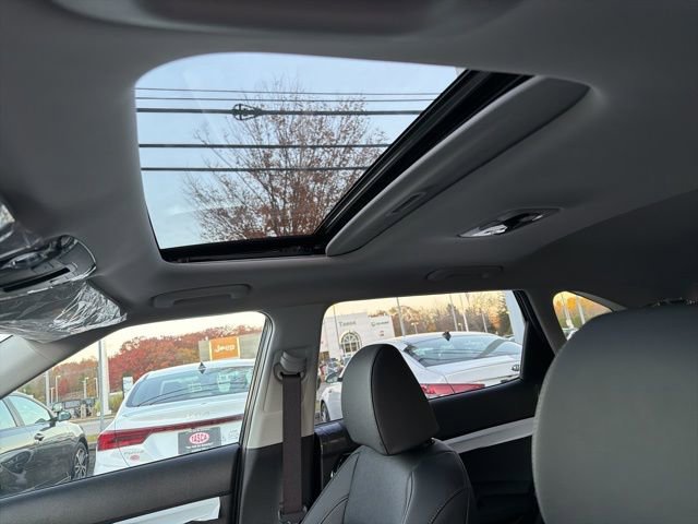 New 2026 Kia Seltos SX w/ SX Sunroof Package image 11
