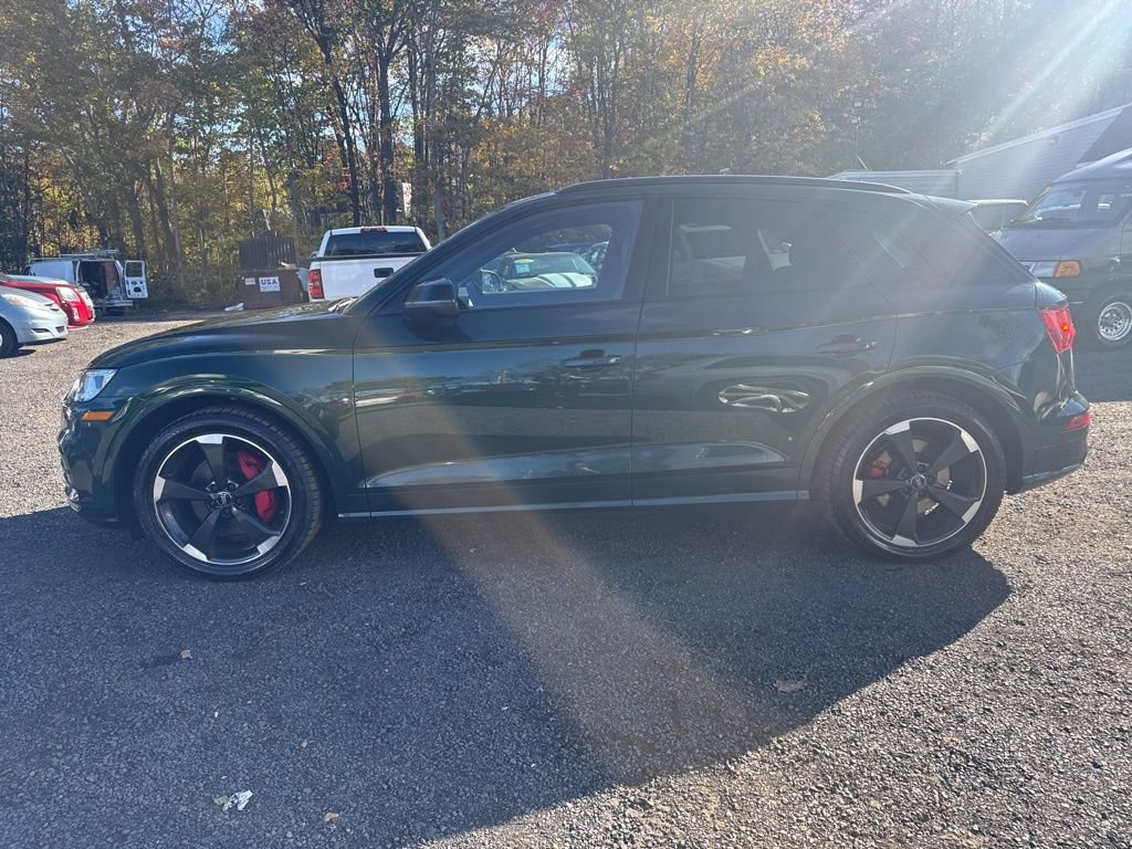 Used 2019 Audi SQ5 Premium Plus w/ Premium Plus Package image 13