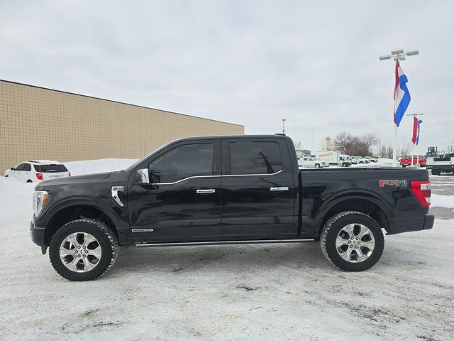 Used 2021 Ford F150 Platinum w/ Equipment Group 701A High image 8