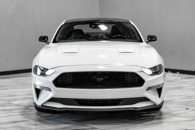 Used 2023 Ford Mustang Premium w/ Mustang Nite Pony Package RWD image 4