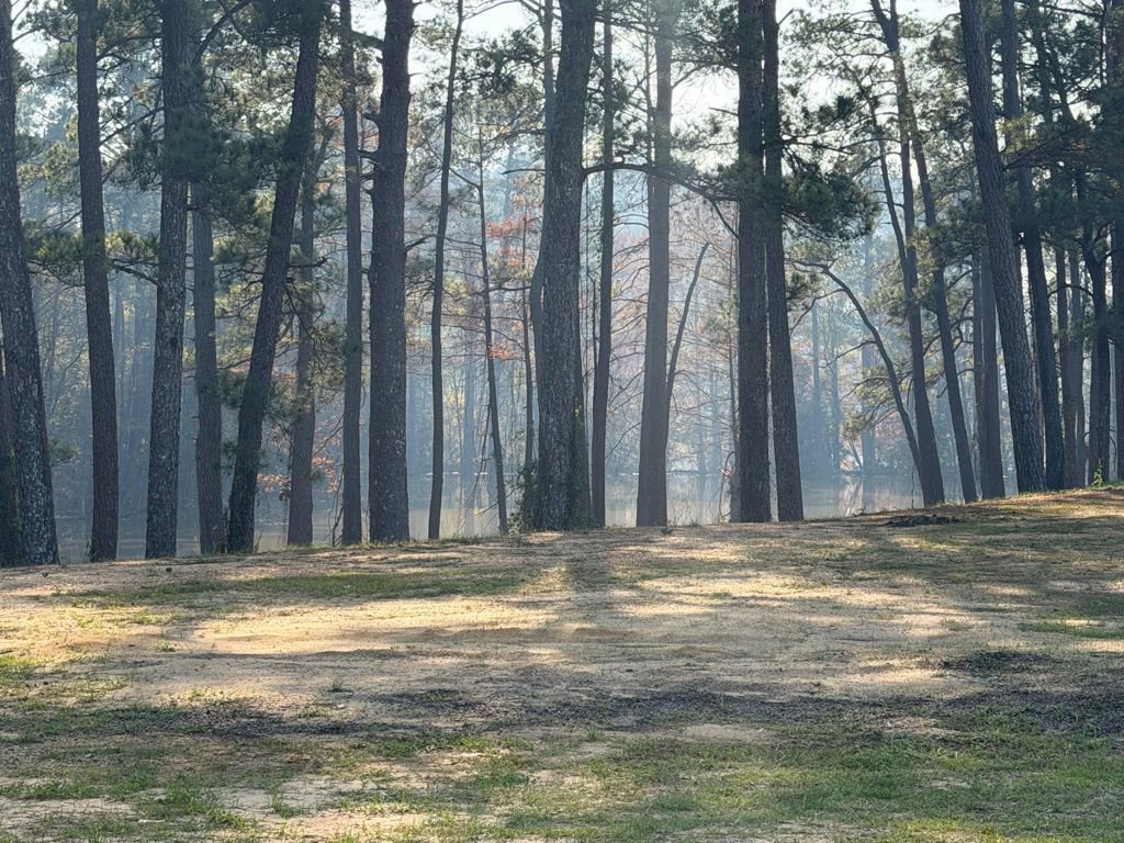 Used 2023 Toyota 4Runner SR5 Premium image 17