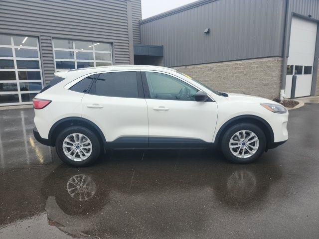 Used 2022 Ford Escape SE w/ Convenience Package image 4