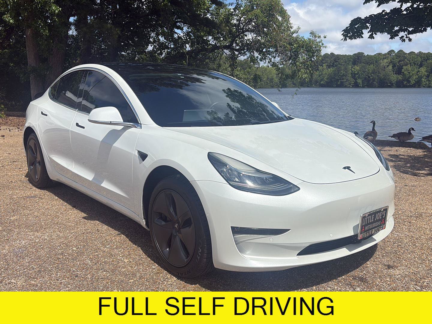 Used 2019 Tesla Model 3 Standard Range RWD image 1