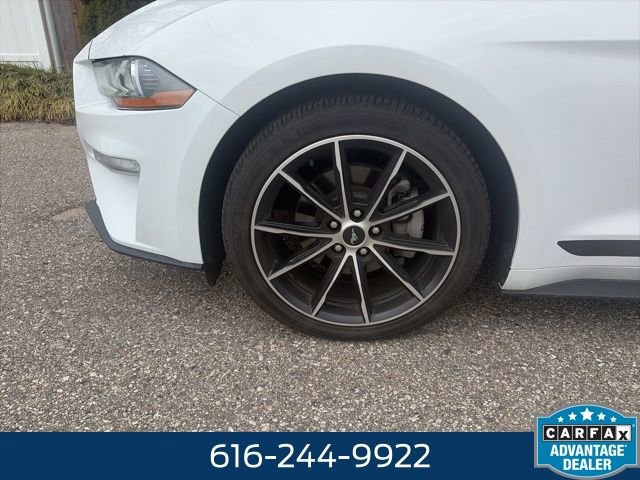 Used 2021 Ford Mustang Premium w/ Equipment Group 201A RWD image 8