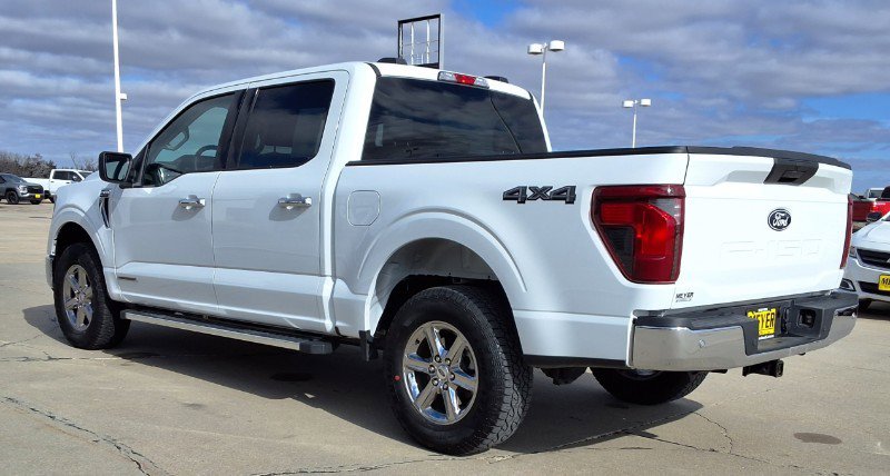 Used 2025 Ford F150 XLT w/ Equipment Group 301A Standard AWD/4WD image 6