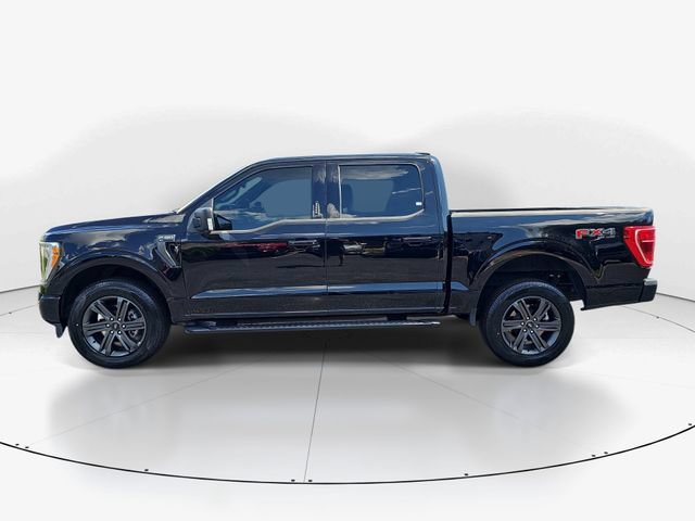 Used 2023 Ford F150 XLT w/ Equipment Group 302A High AWD/4WD image 8