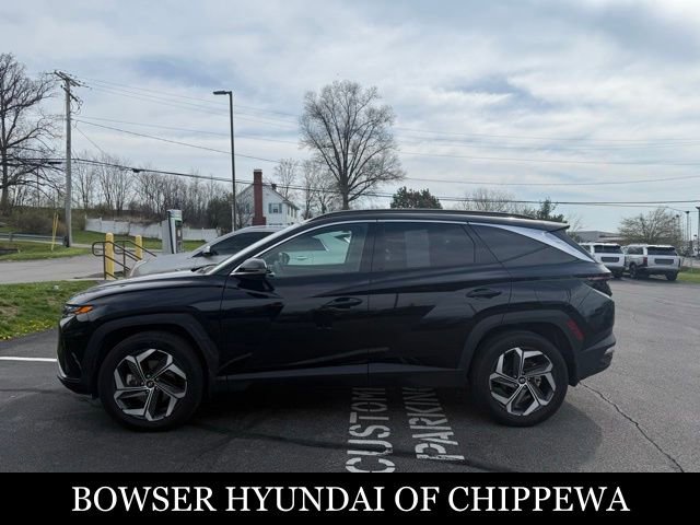 Used 2023 Hyundai Tucson Limited image 6