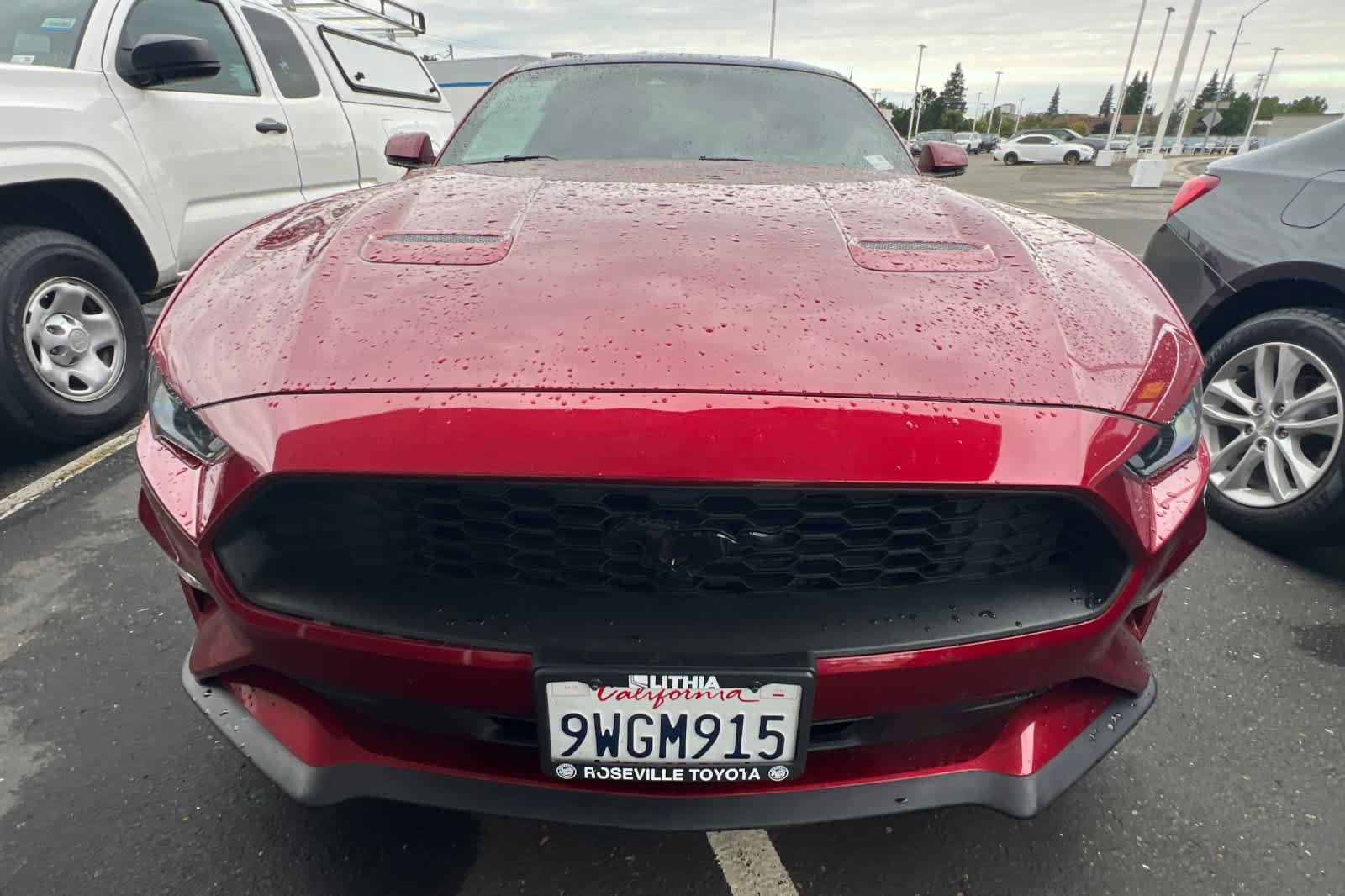 Used 2019 Ford Mustang Premium w/ Equipment Group 201A RWD video 2