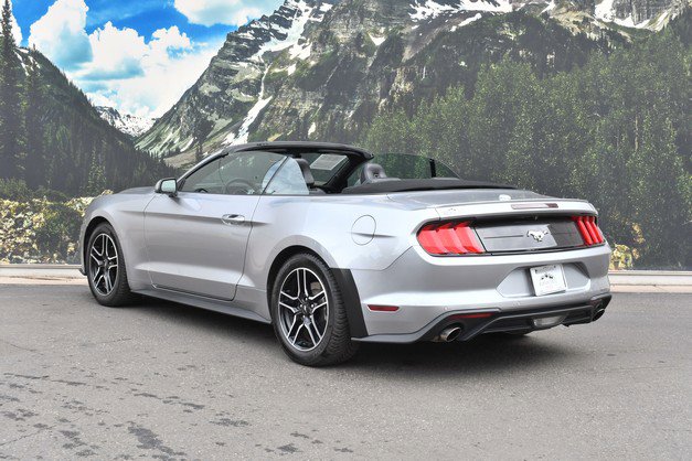 Used 2021 Ford Mustang Premium image 9