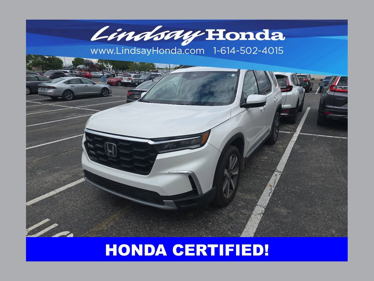 Certified 2025 Honda Pilot Elite