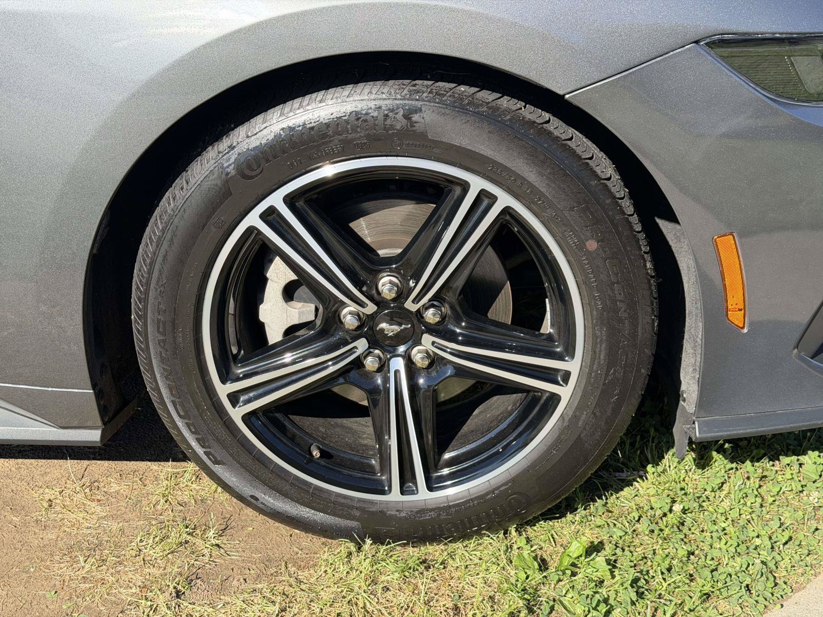 Used 2025 Ford Mustang Premium RWD image 6