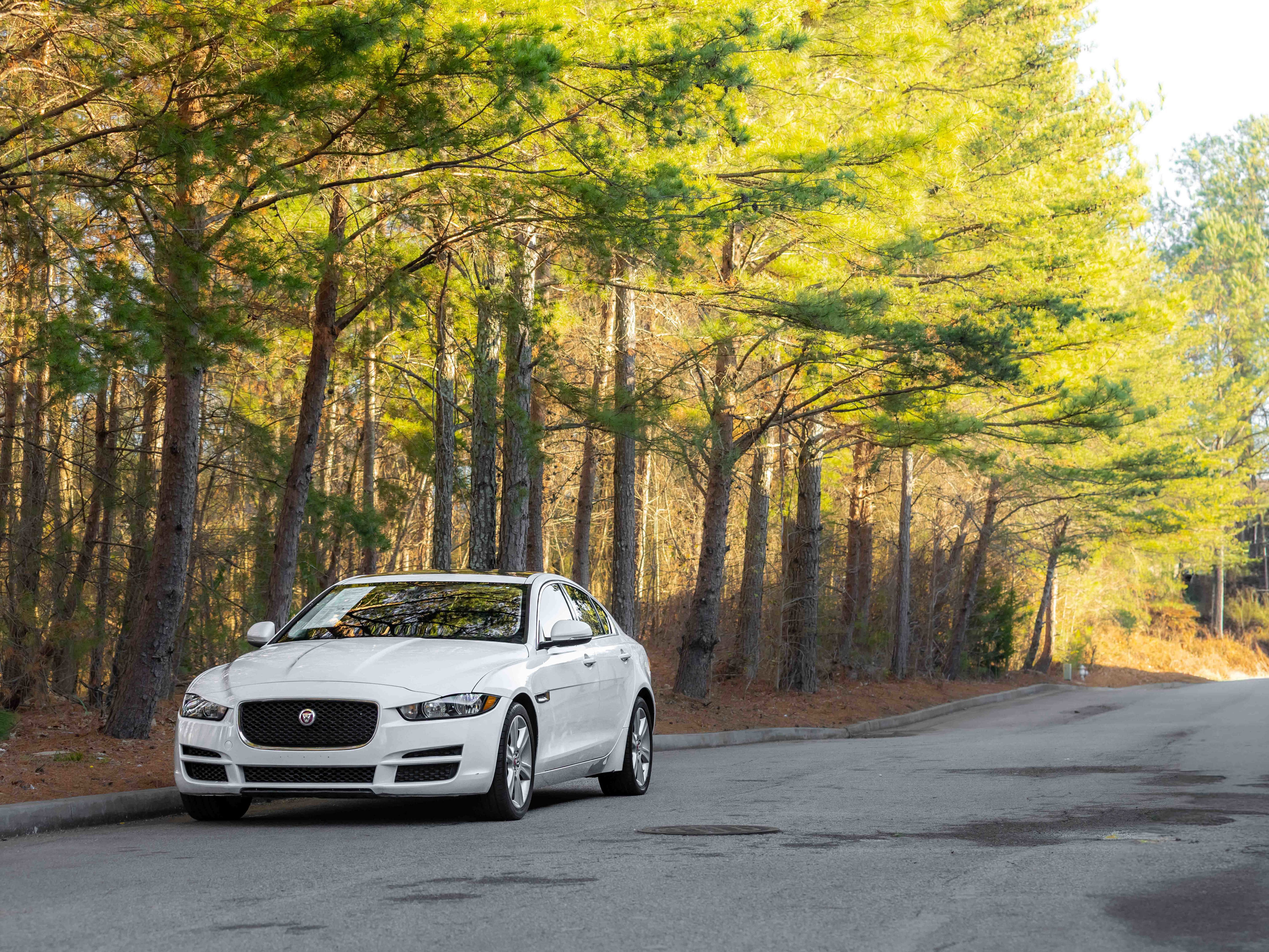 Used 2019 Jaguar XE Premium image 42