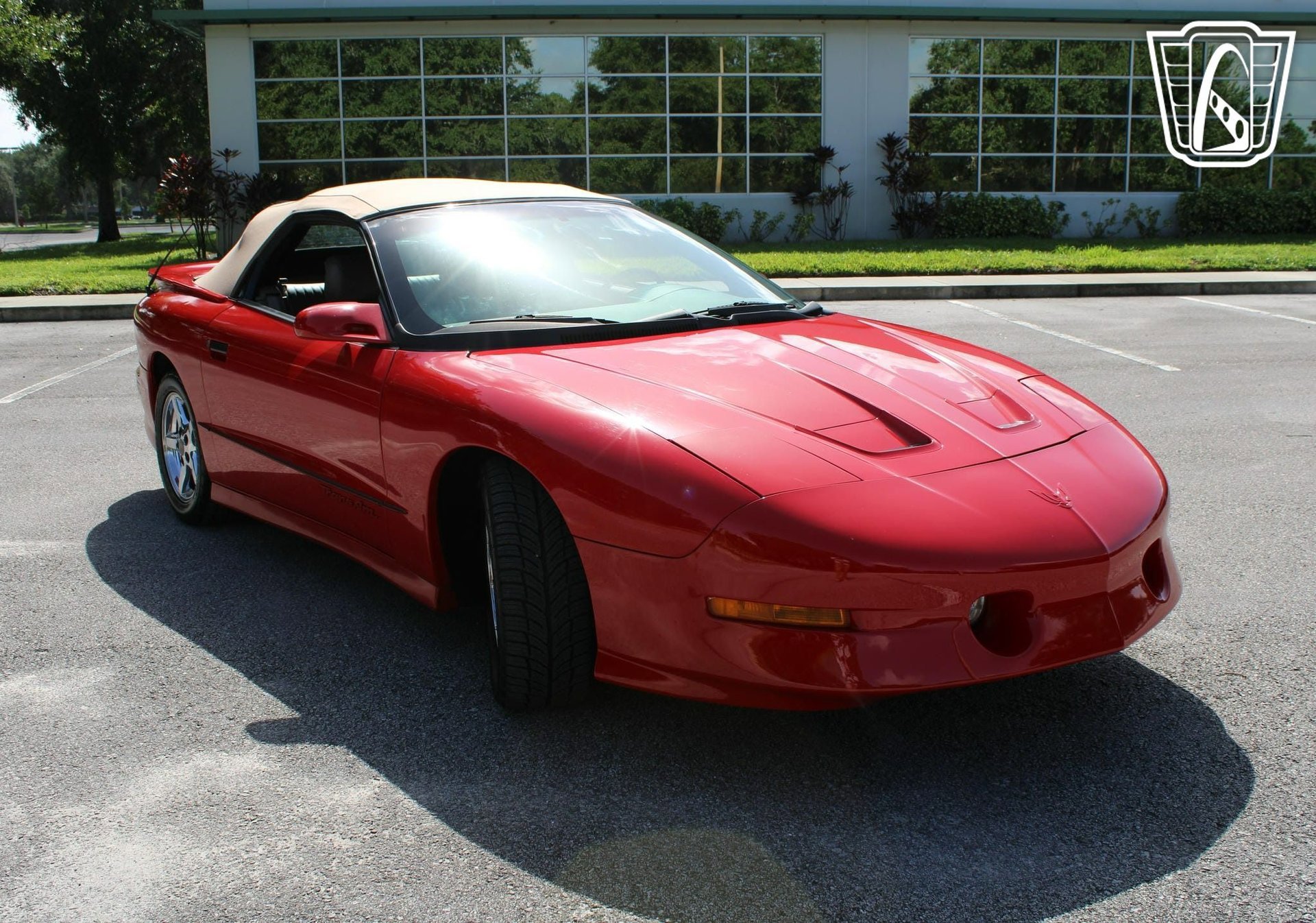 Used 1995 Pontiac Firebird Trans Am image 3