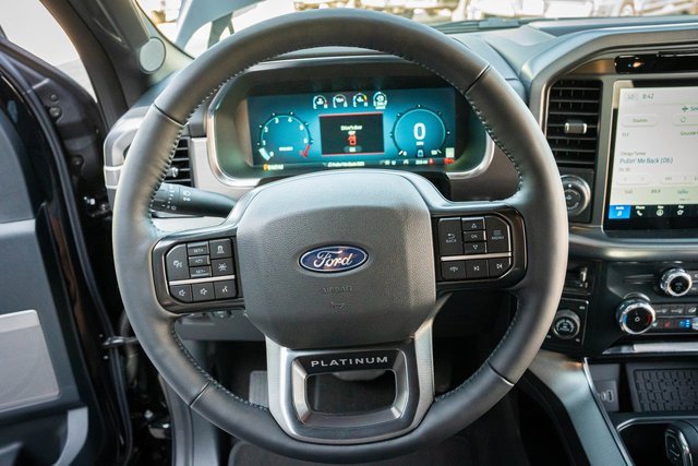 New 2025 Ford F150 Platinum image 19
