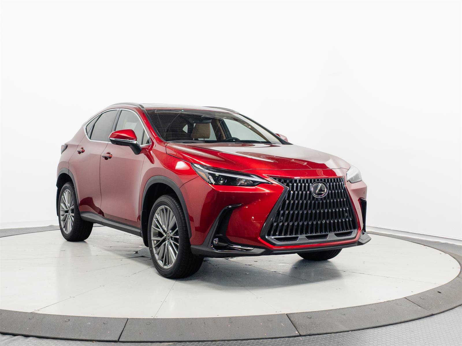 New 2026 Lexus NX 350 AWD w/ Cold Area Package