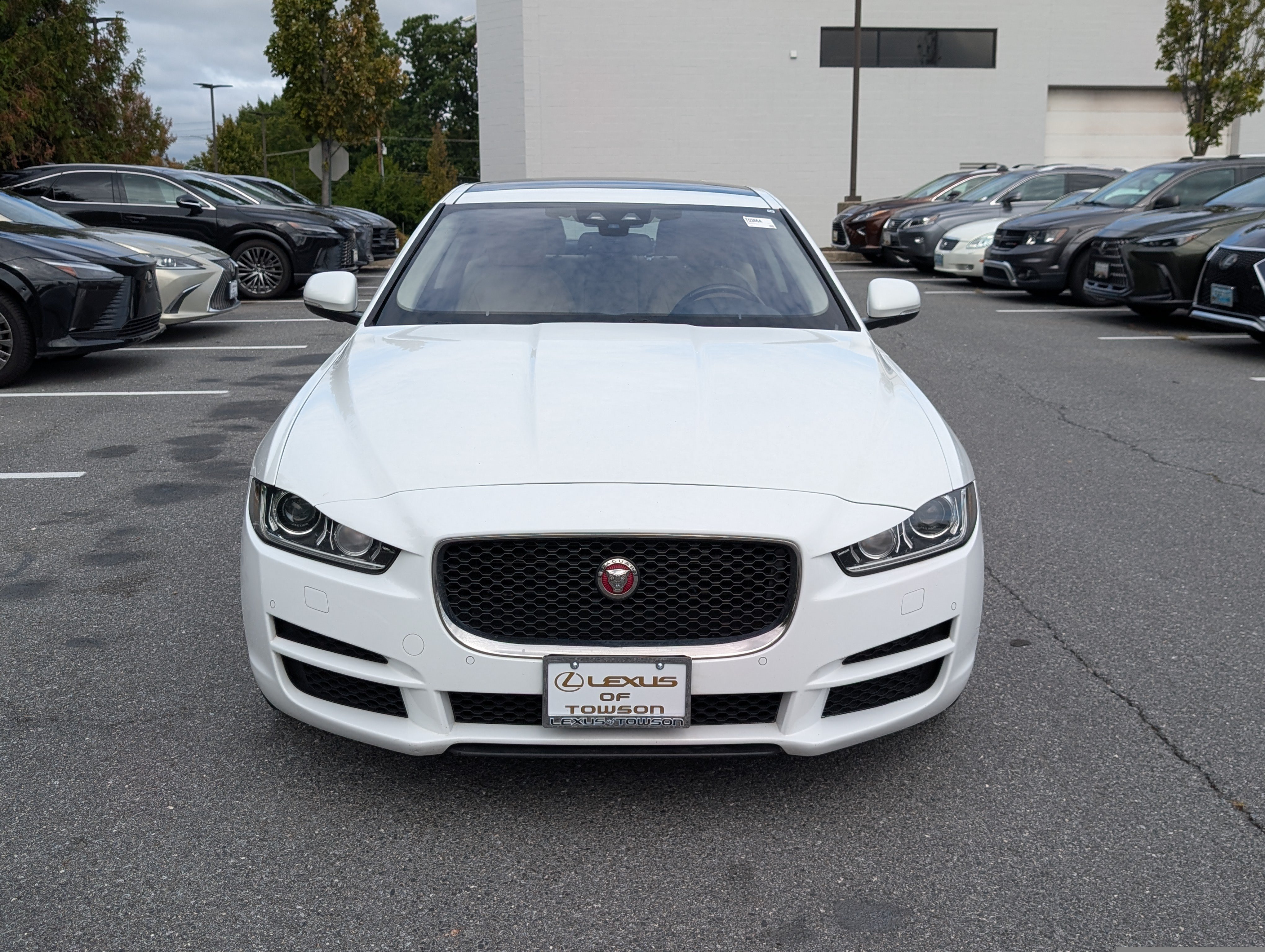 Used 2018 Jaguar XE Prestige AWD/4WD image 8