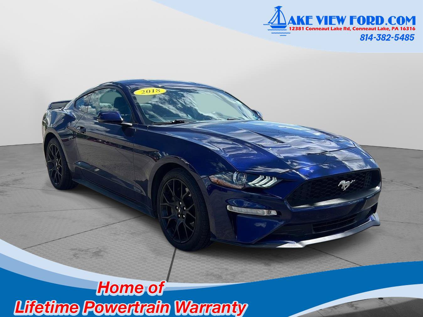 Used 2018 Ford Mustang Premium w/ Ecoboost Performance Package RWD image 12