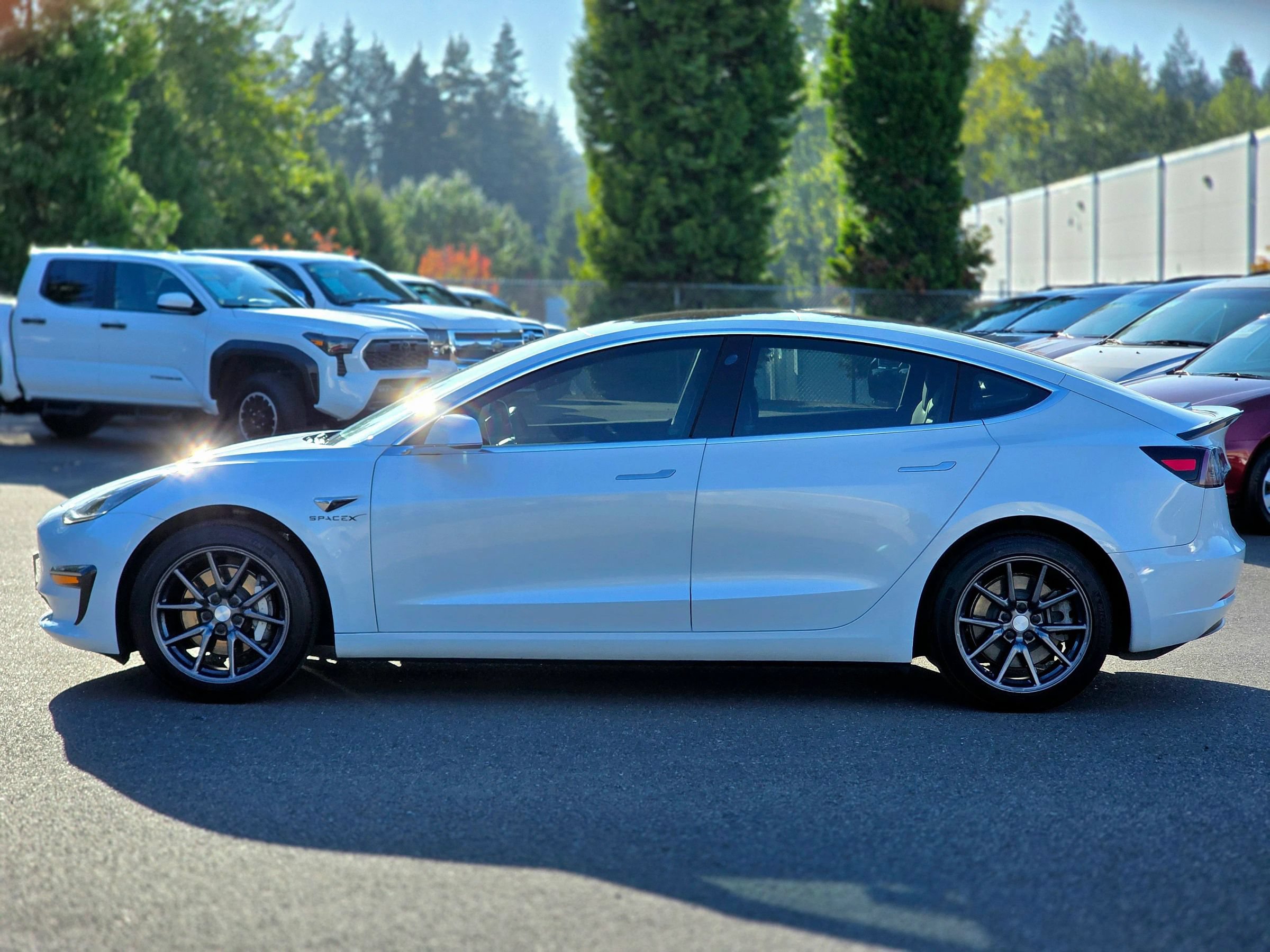 Used 2020 Tesla Model 3 Standard Range Plus RWD image 9