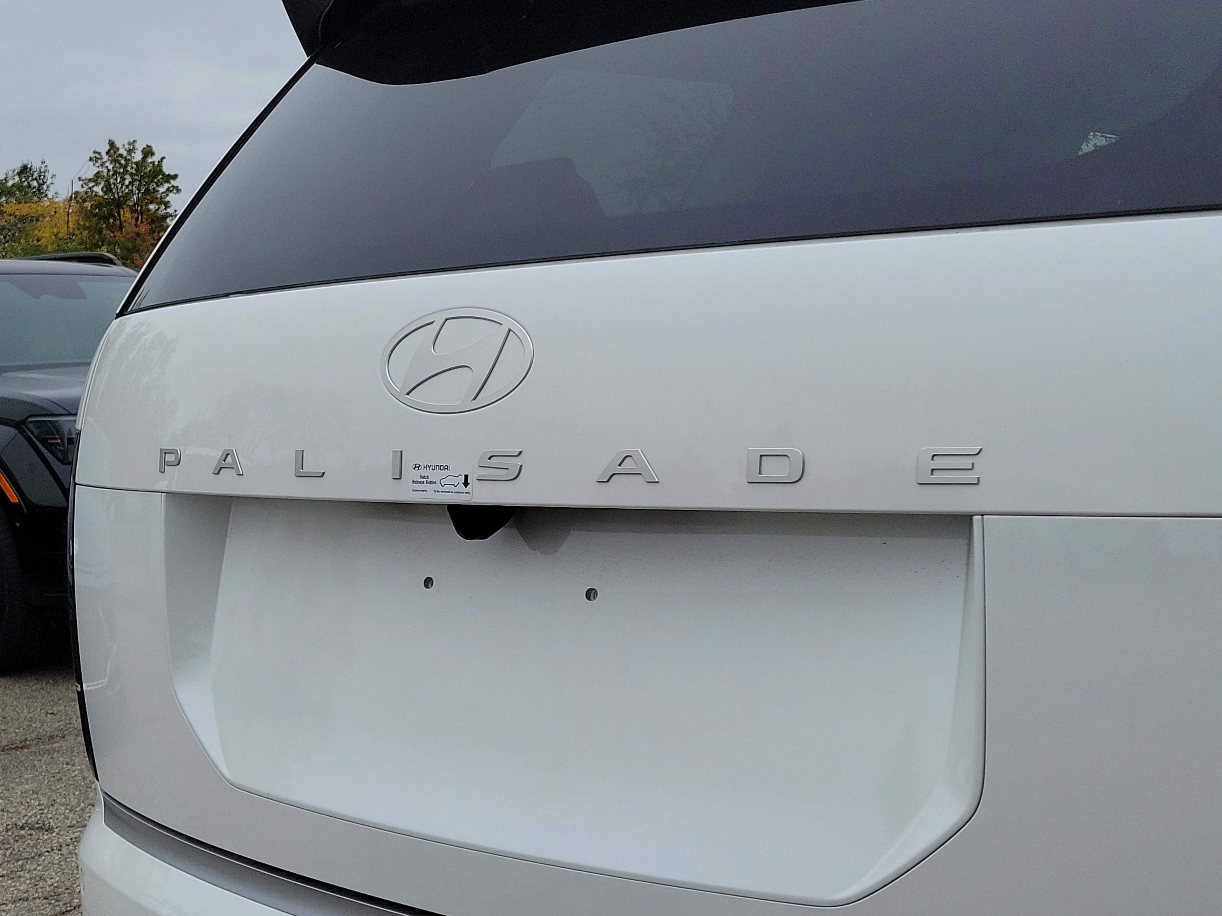 New 2026 Hyundai Palisade Calligraphy image 6