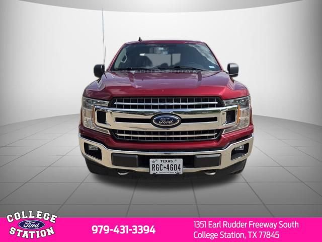Used 2019 Ford F150 XLT w/ Equipment Group 302A Luxury AWD/4WD image 2