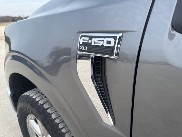 Used 2025 Ford F150 XLT w/ Equipment Group 301A Standard image 8