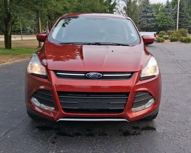 Used 2014 Ford Escape SE FWD image 2