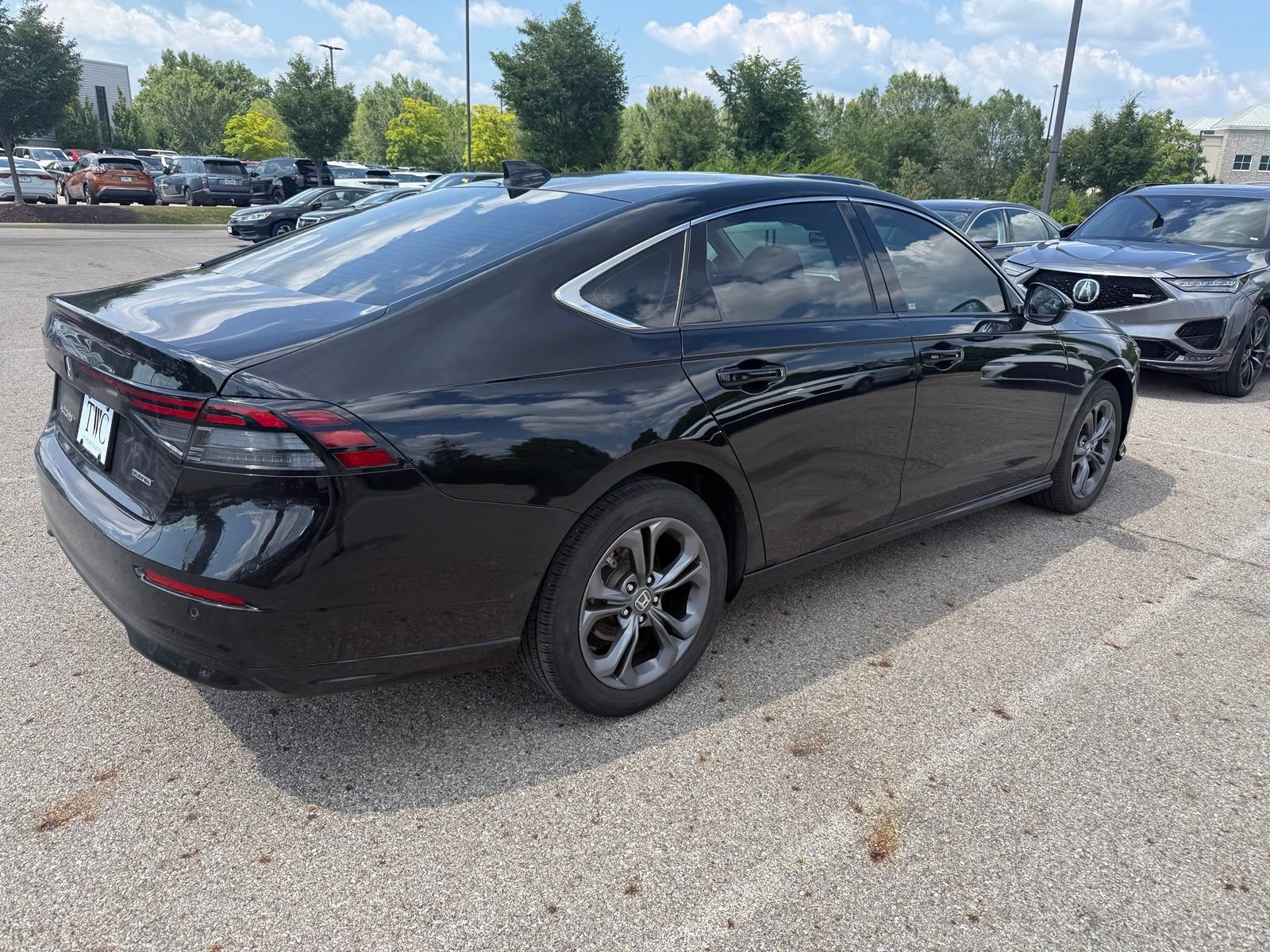 Used 2024 Honda Accord EX-L image 5
