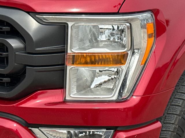 Used 2022 Ford F150 XLT w/ Equipment Group 301A Mid image 4