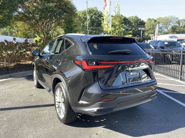 Used 2024 Lexus NX 350h AWD image 6