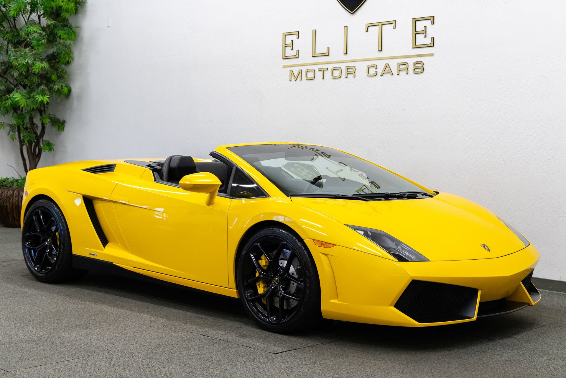 Used 2013 Lamborghini Gallardo LP 550-2 RWD image 8