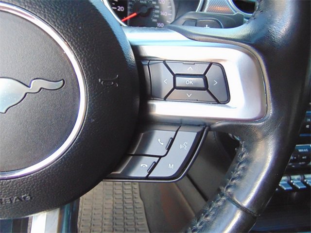 Used 2019 Ford Mustang GT w/ Equipment Group 301A image 17