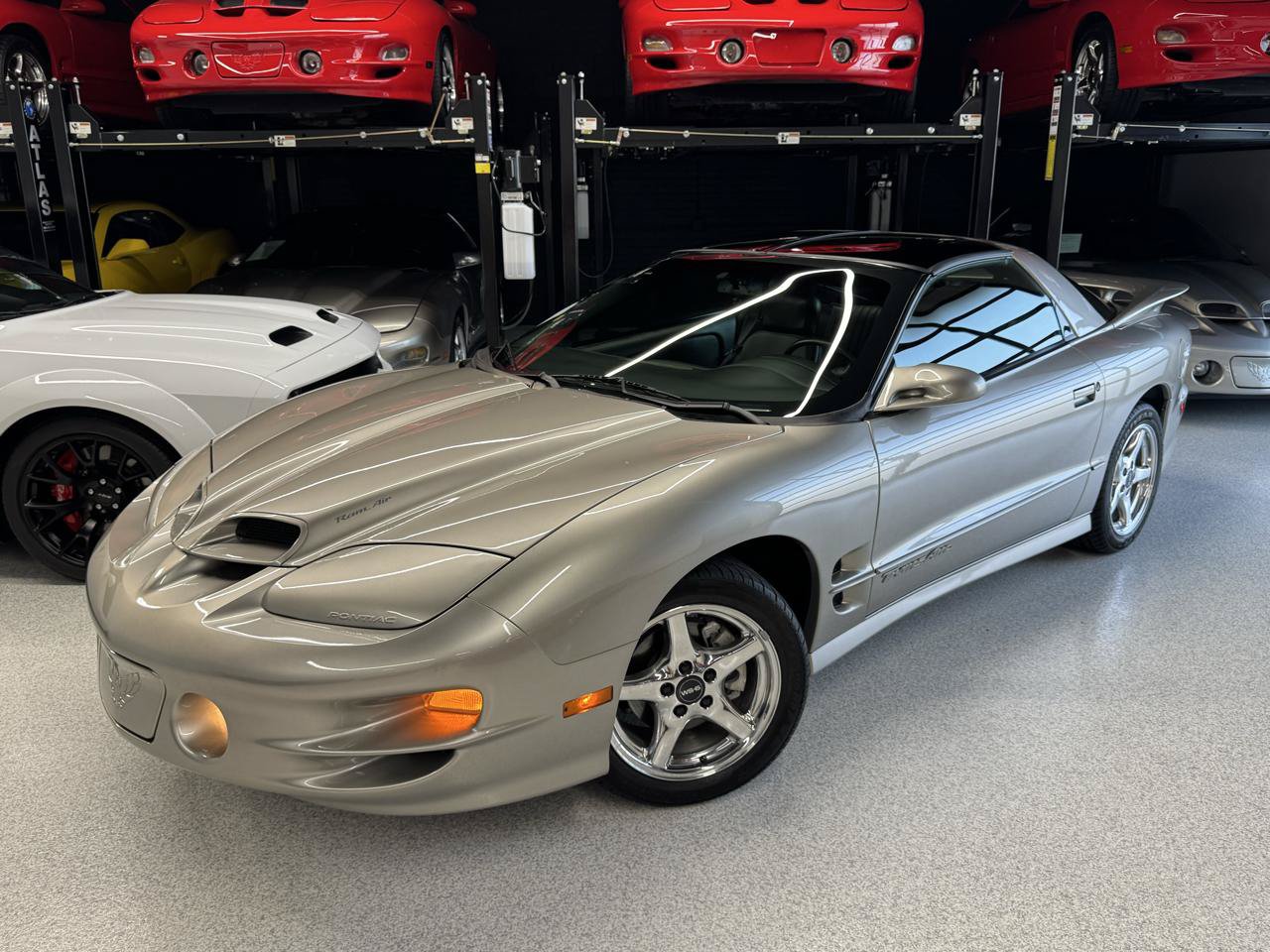 Used 2000 Pontiac Firebird Formula RWD image 3