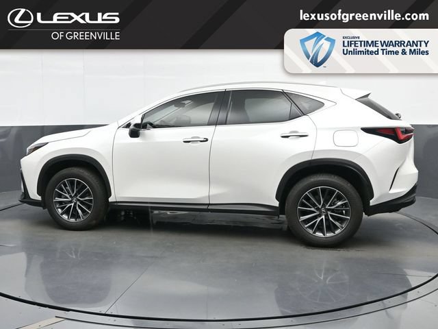 Used 2025 Lexus NX 250 FWD w/ Cold Area Package image 5