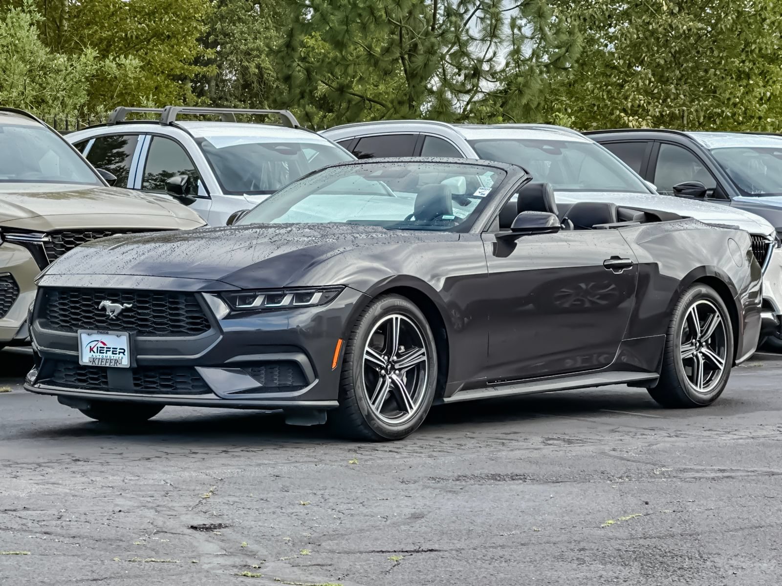 Used 2024 Ford Mustang Premium RWD image 7