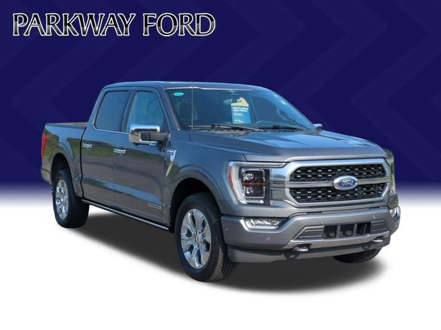 Certified 2023 Ford F150 Platinum w/ Equipment Group 701A High AWD/4WD image 7